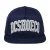 Snapback pet DC Shoes University