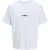 Jack & Jones Jcosago photo back tee ss crew neck –