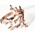 PURELEI Coral Cove Armreif Rosegold