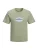 Jack & Jones Junior Shirt ‘JORCATSKILLS’  lichtblauw / grasgroen / zwart