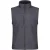 Regatta Heren Flux Softshell Bodywarmer / Mouwloos Jasje Waterafstotend en Windbestendig (Afdichting Grijs)