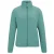 Regatta Dames/Dames Clemence IV Full Zip Fleece (Ivy Mos)