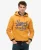 Superdry Mannen Standard Script-hoodie Geel