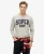 Vintage Athletic Long Sleeve Top Lichtgrijs