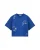 WE Fashion Shirt  kobaltblauw / wit