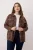 Trendyol Curve Dames Bruin Geruit Lang Regular fit Grote maten Overhemden