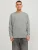Jack & Jones Sweatshirt JJESTAR BASIC SWEAT CREW NECK NOOS
