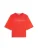 TOMMY HILFIGER Shirt  navy / rood / wit