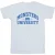 Disney Heren Monsters University Logo T-Shirt (Wit)