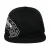 Snapback pet DC Shoes Omega