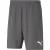 Puma Heren teamrise sweat shorts