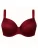 Vivisence BH ‘1085’  bourgogne