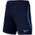 Nike Heren strike 22 dri-fit korte broek
