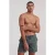 Shiwi Men Swim Short Go Fish Micro Peach Cilantro Green