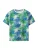 NAME IT Shirt ‘NKMJAXON’  blauw / groen / wit
