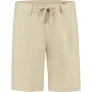 Dstrezzed Ds logan beach shorts