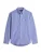 TOMMY HILFIGER Overhemd  blauw / wit