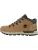 TIMBERLAND Veterboots  bruin