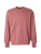 LEVI’S ® Sweatshirt ‘AUTHENTIC’  watermeloen rood