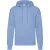 Fruit of the Loom Heren Klassieke Hoodie (Hemelsblauw)