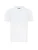 Antioch Shirt  wit