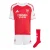 ADIDAS PERFORMANCE Trainingspak ‘FC Arsenal 25/26’  rood / wit