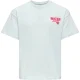 Only T-shirt 15368763 kogcana