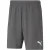 Puma Heren teamrise korte broek