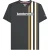 Lambretta Heren Racing Stripe T-shirt (IJzer/goud)