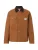 Carhartt WIP Tussenjas ‘Michigan’  camel