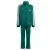ADIDAS ORIGINALS Joggingpak ‘Firebird’  groen / wit