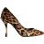 Dolce & Gabbana Bruine Luipaard Kalfs-Haar Hakken Pumps Schoenen