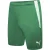 Puma Heren team liga korte broek