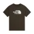 The North Face T-shirt Evolution Half Dome donkergroen