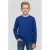 Cars sweater met logo – blauw