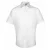 Premier Heren Supreme Poplin Overhemd met Korte Mouwen (Wit)