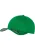 Flexfit Pet  groen