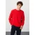 Heren Regular Fit Round Neck Sweater