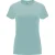 Roly Dames/Dames Capri T-Shirt (Gewassen blauw)