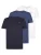 Petrol Industries Shirt  donkerblauw / zwart / natuurwit