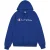 Champion Heren geborduurde logohoodie