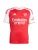 ADIDAS PERFORMANCE Functioneel shirt ‘Arsenal 25/26’  rood / wit
