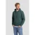 REPLAY regular fit hoodie – groen