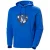 Hoodie Helly Hansen Arctic Ocean 2.0