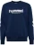 Hummel Sweatshirt ‘LEGACY 2.0’  enziaan / wit