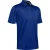 Under Armour Heren Tech Poloshirt (Koningsblauw)