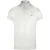 Tommy Hilfiger Heren Verweerd Poloshirt (Wit)