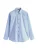 Next Overhemd  blauw / lichtblauw / wit