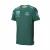Aston Martin Cognizant F1 Officieel Heren Groen T-Shirt