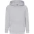 Fruit of the Loom Lichtgewicht hoodie kinderen/kinderen